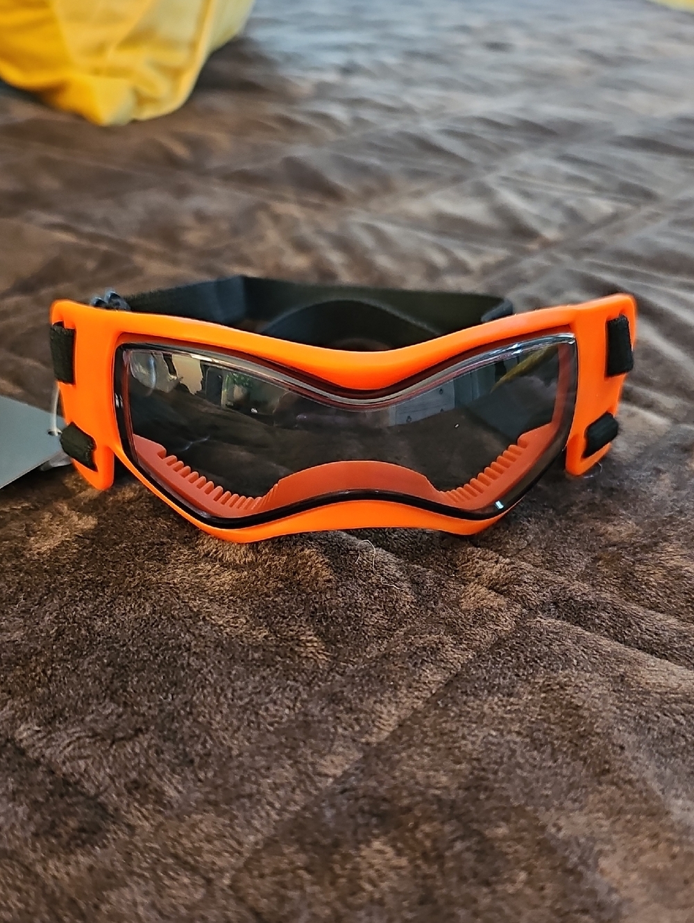 Dog Goggles - Picture 4 of 16